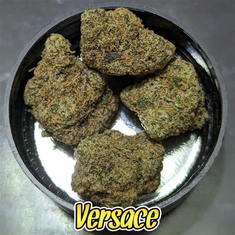 versace og|versace weed strain.